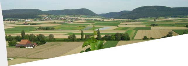rueedi-ferien.ch